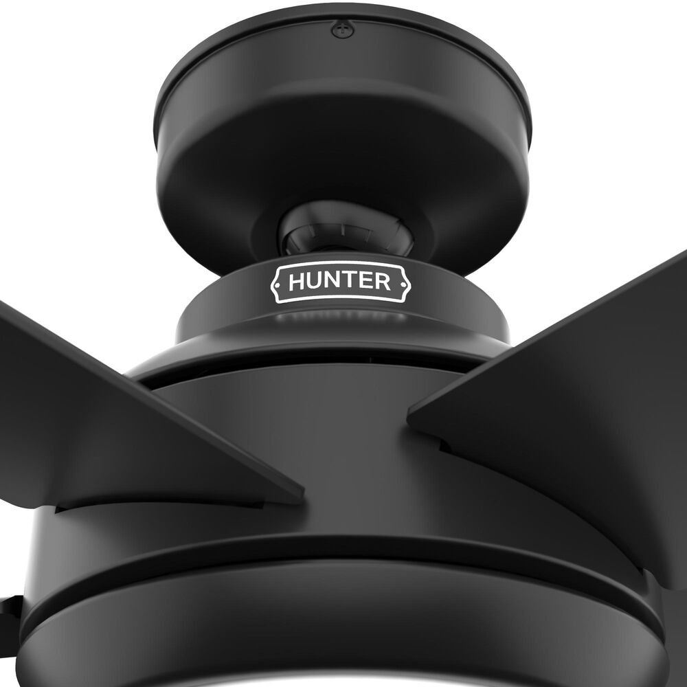 Hunter Zayden 52&quot; Ceiling Fan with LED Light in Matte Black, , large