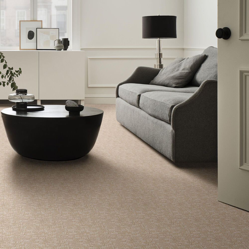 Anderson Tuftex Paw-Tay Carpet in Old Country, , large