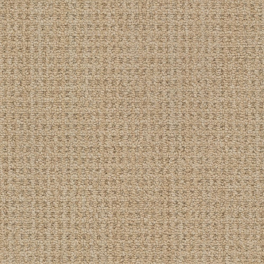Masland Take It Easy Carpet in Bisbee, , large