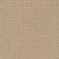 Masland Take It Easy Carpet in Bisbee, , large