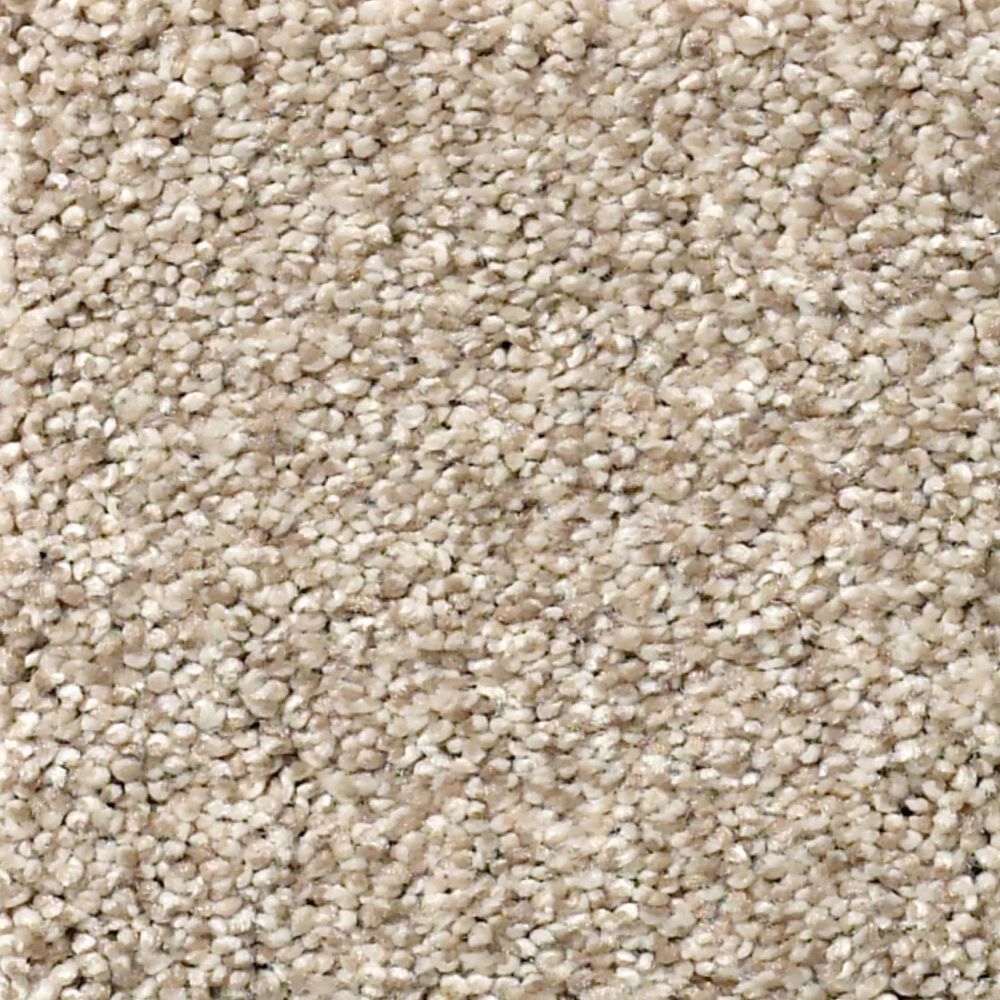 Shaw Comforting II Carpet in Shadow, , large