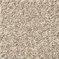 Shaw Comforting II Carpet in Shadow, , large