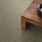 Shaw Cabana Bay Tonal Carpet in Pebble Creek, , large
