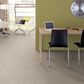 Shaw Elemental Mix I Carpet in Pixels, , large