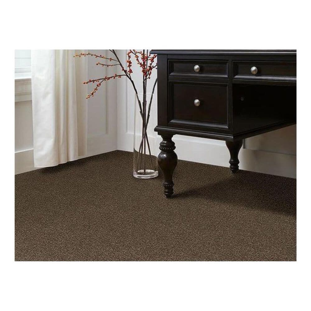Shaw Phenomenal Carpet in Townhouse, , large