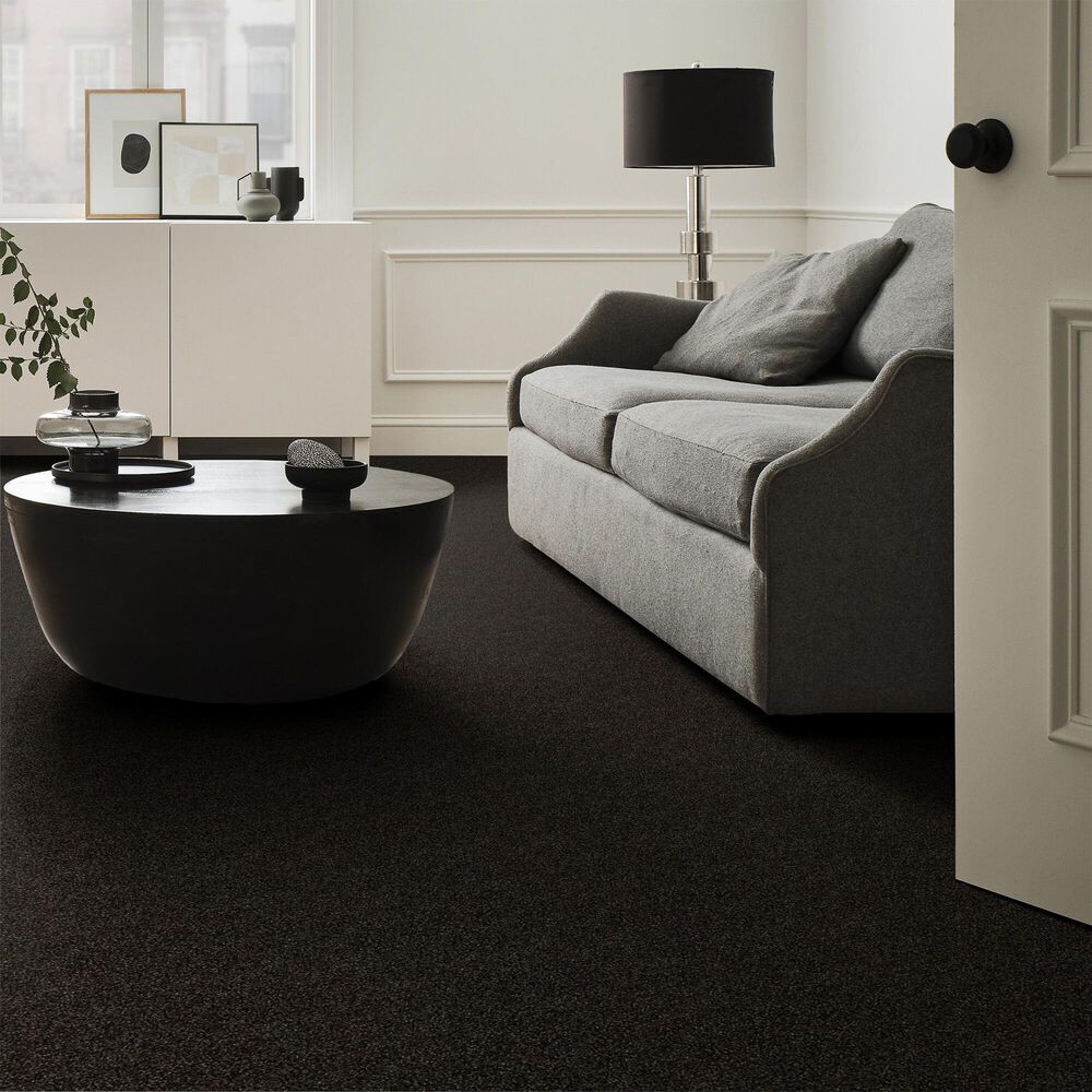 Shaw Making The Rules III Carpet in Black Rich Earth, , large