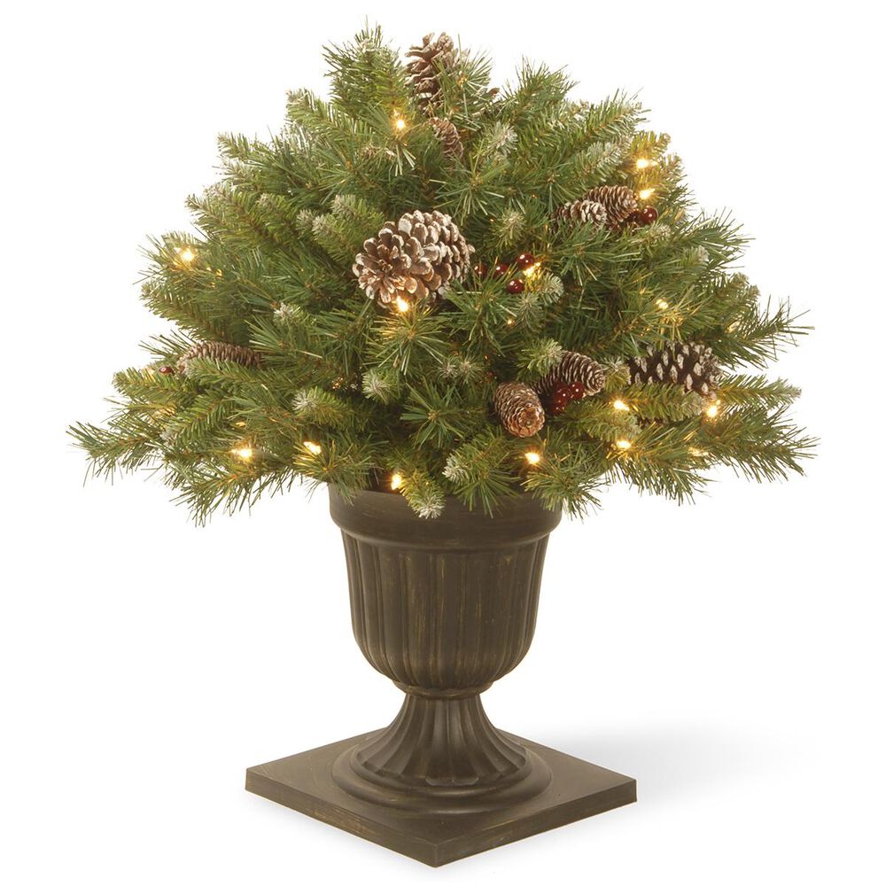 National Tree 24" Frosted Berry Porch Bush with Cones & Red Berries with 50 White Lights, , large