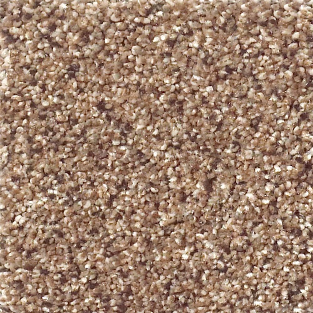 Shaw Foundations Take The Floor Accent II Carpet in Baltic Brown, , large
