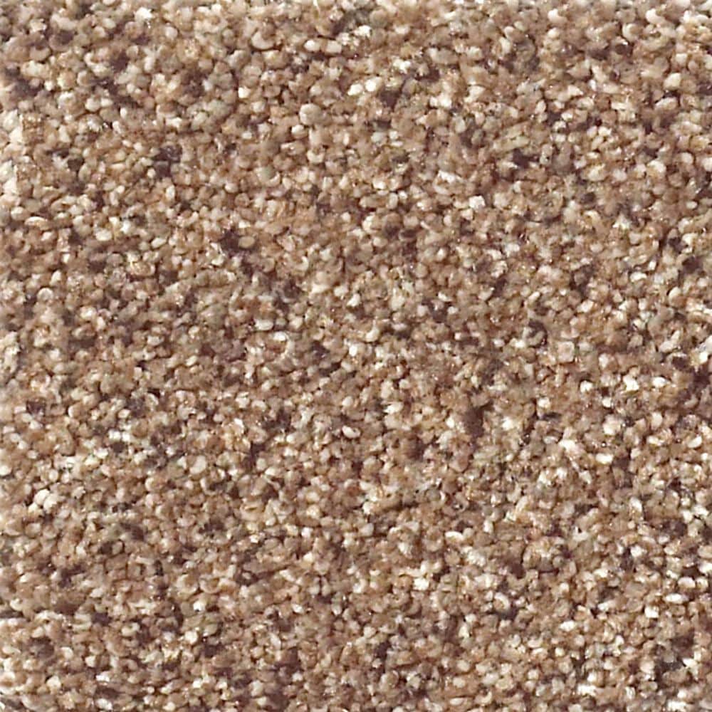 Shaw Foundations Take The Floor Accent II Carpet in Baltic Brown, , large