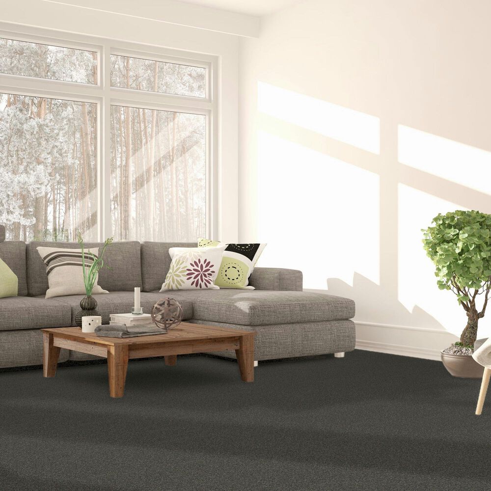 Dream Weaver Titan III Carpet in Beacon Hill, , large