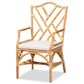 Baxton Studio Delta Arm Chair in Natural, , large