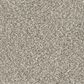 Phenix Crystal Cove Carpet in Cool Breeze, , large