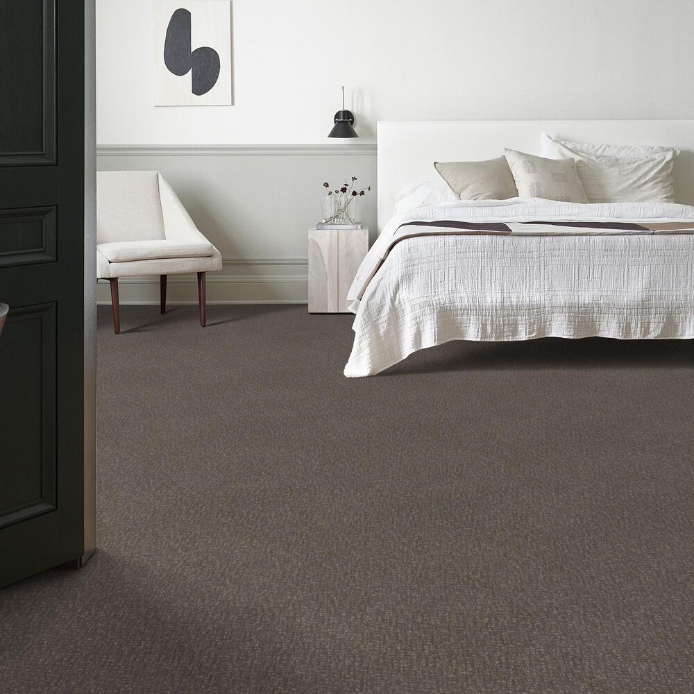 Anderson Tuftex Caboodle Carpet in Shade, , large
