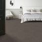 Anderson Tuftex Caboodle Carpet in Shade, , large