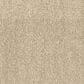 Fabrica Tundra Carpet in Bighorn, , large