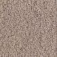 Anderson Tuftex Luxe Feel II Carpet in White Pine, , large