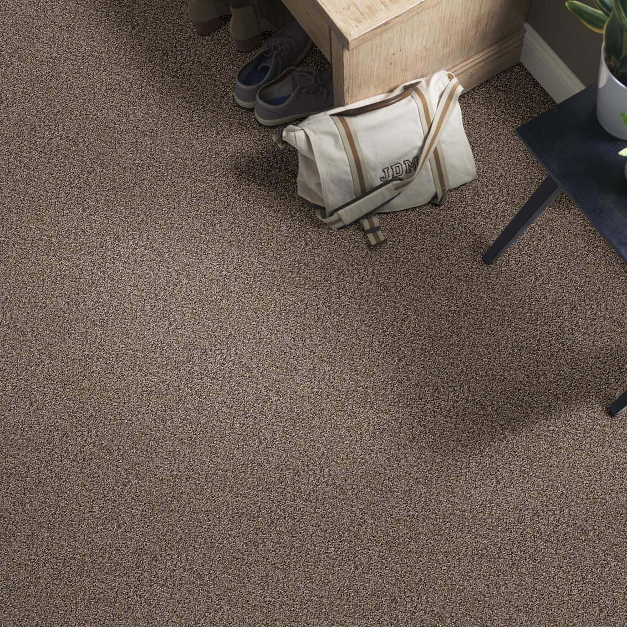 Shaw berber hotsell carpet prices