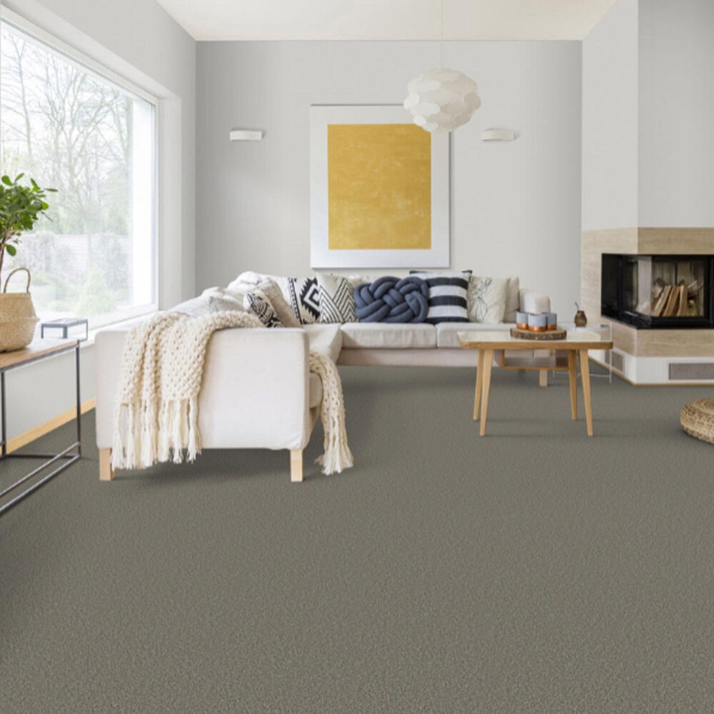 Dixie Home Main Force Carpet in River Rock, , large