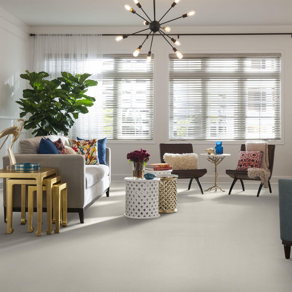 Anderson Tuftex Dynasty Carpet in Froth, , large