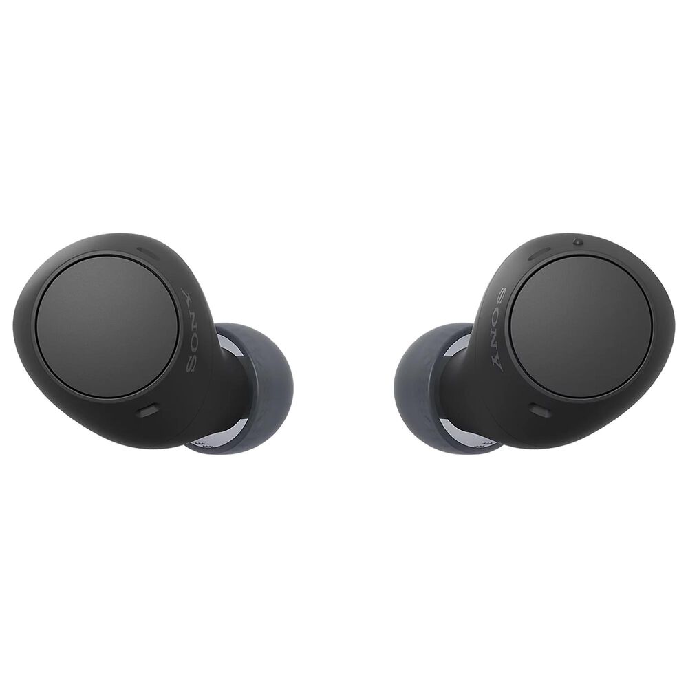 Sony Truly Wireless Earbuds in Black, , large