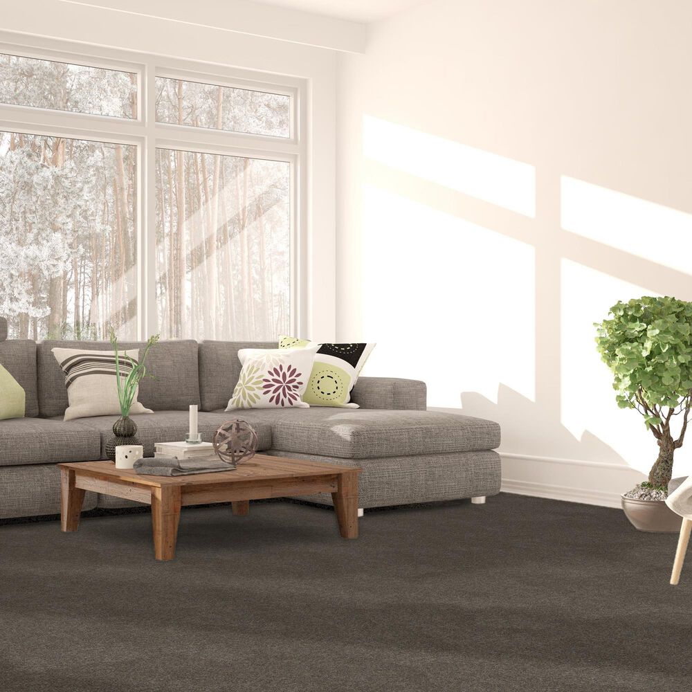 Dream Weaver Serene II Carpet in Mulberry, , large