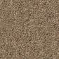 Anderson Tuftex Enduring Charm Carpet in Latte, , large