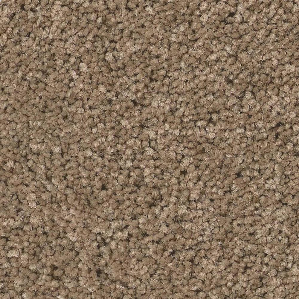 Anderson Tuftex Enduring Charm Carpet in Latte, , large