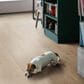 COREtec Scrachless Morningside Oak 7" x 48" Luxury Vinyl Plank, , large
