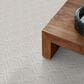 Anderson Tuftex Appreciation Carpet in Crete, , large