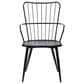 Blue River Parisa Side Chair in Black, , large