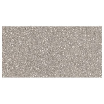Emser Fragmento Fawn Small Speckle 12" x 24" Glazed Porcelain Tile, , large