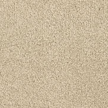 Dixie Home Big Splash Carpet in Basket, , large
