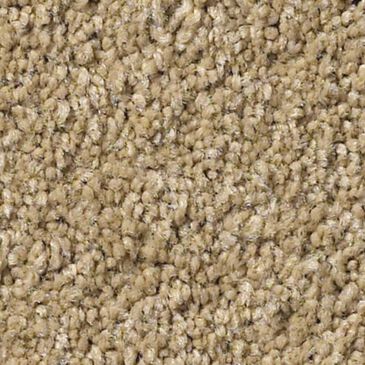 Anderson Tuftex Pawparazzi II Carpet in Golden Straw, , large