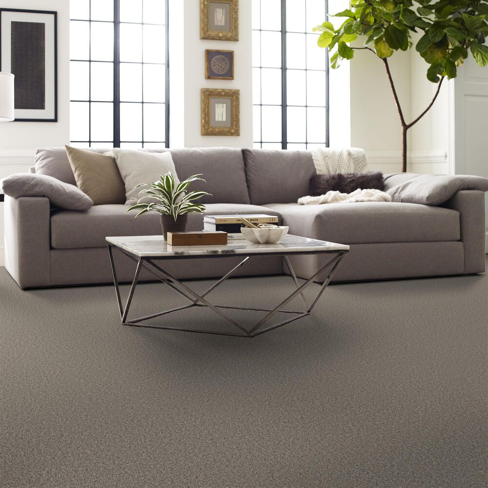 Shaw Affirmation II Carpet in Bistro, , large