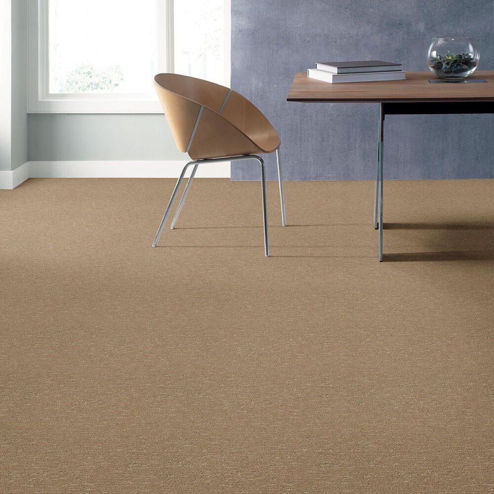 Anderson Tuftex Contour Carpet in Coronado, , large