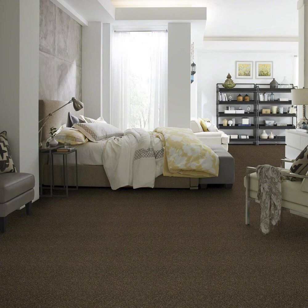Philadelphia Making The Rules II Carpet in Sedona, , large