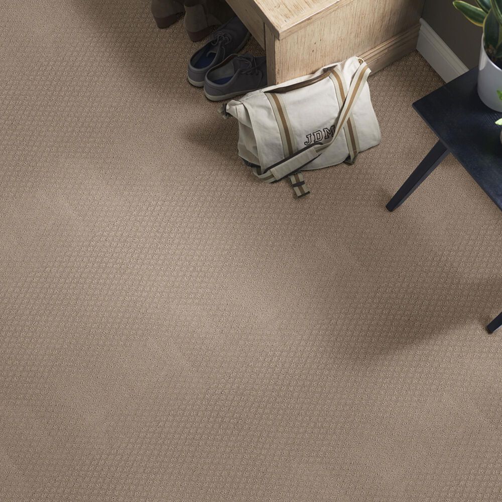 Shaw Foundations Formalize Carpet in Desert View, , large