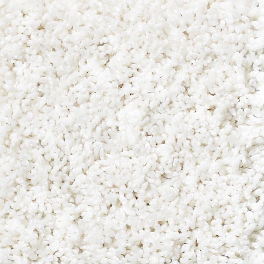 Shaw Foundations Take The Floor Twist II Carpet in Paradise, , large