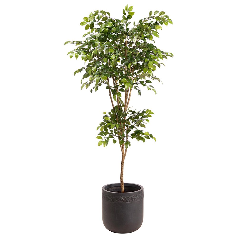Allstate Floral 6"6" Silk Sakaki Tree with Clay Planter in Green, , large