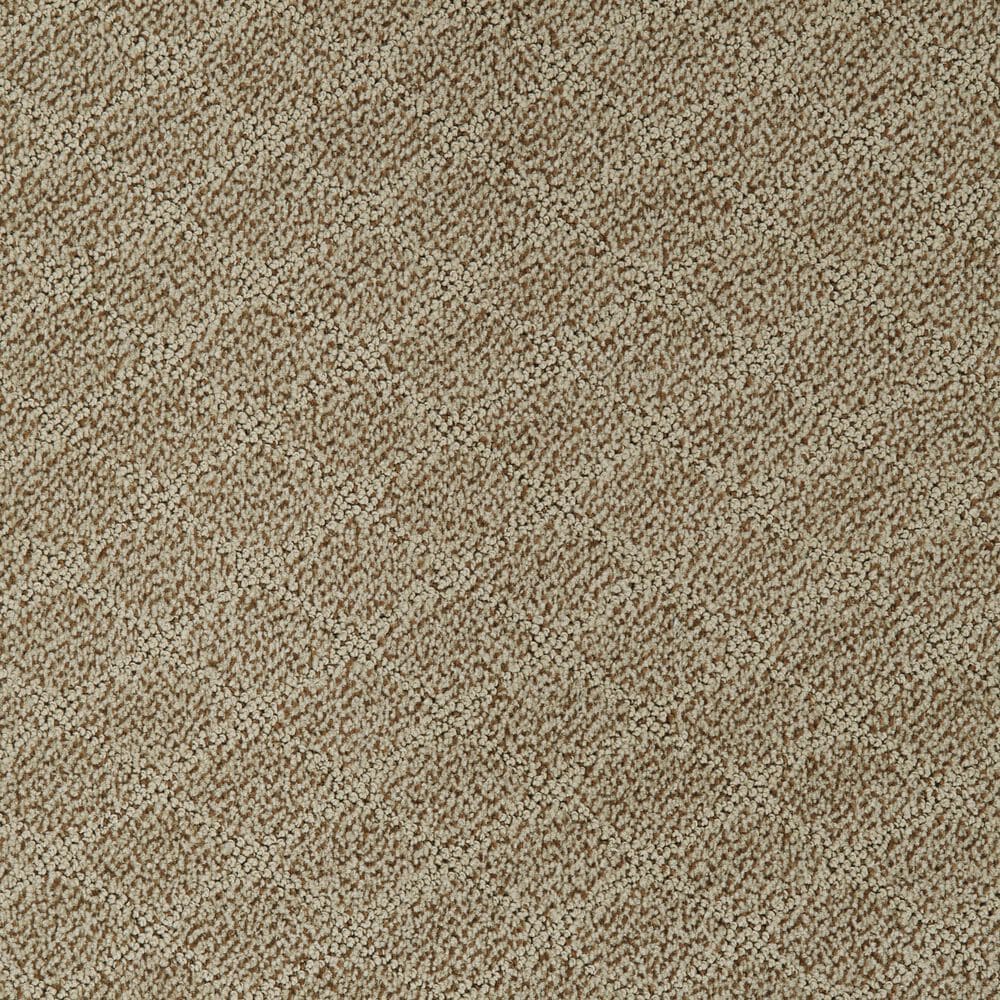 Dixie Home Culture Carpet in Fedora, , large
