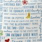 One Hundred 80 Degrees Texas Bloom Fabric Pillow, , large