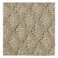 Shaw Nature"s Own Carpet in Mushroom, , large