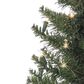 The Gerson Company 3.5" Colorado Spruce with Lights, , large