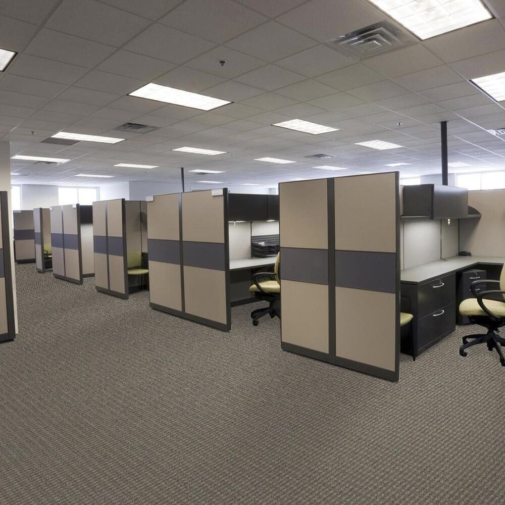 Shaw Fair Shake Carpet in Agreement, , large
