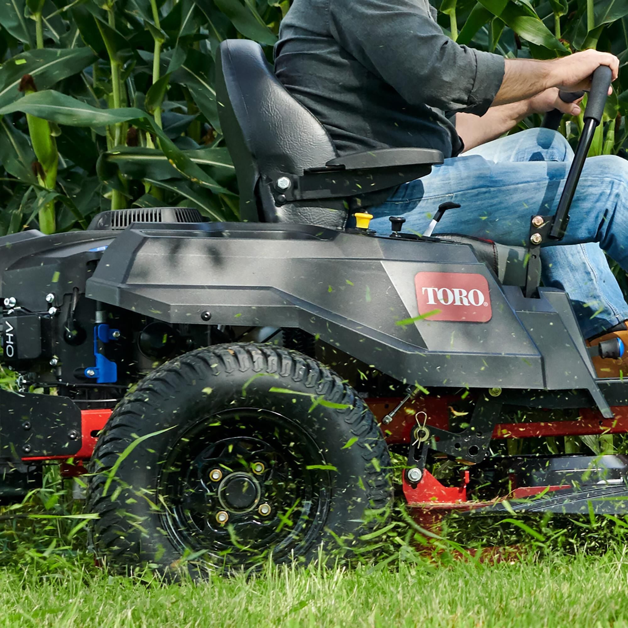 Toro 54