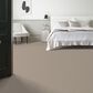 Anderson Tuftex Kit Carpet in Balanced, , large