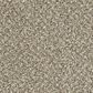 Dream Weaver Toast of The Town Carpet in Natural Cotton, , large