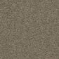 Shaw Del Morro Carpet in Drift, , large