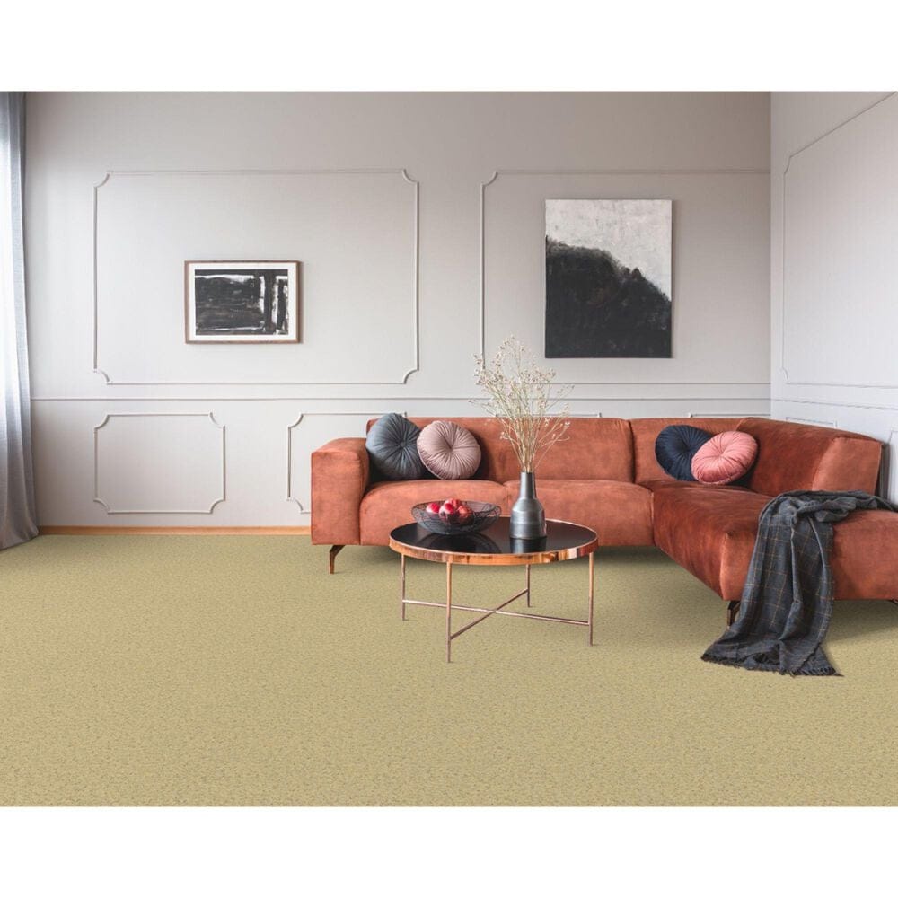 Dixie Home Simplicity Carpet in Mineral, , large