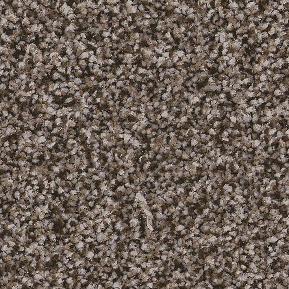 Anderson Tuftex Kaleidoscope Carpet in Open Range, , large